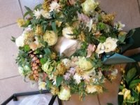 das zu drehende Bild